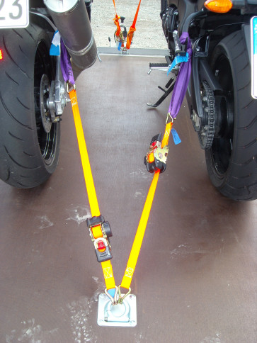 Zurrgurt Automatisch 50mm