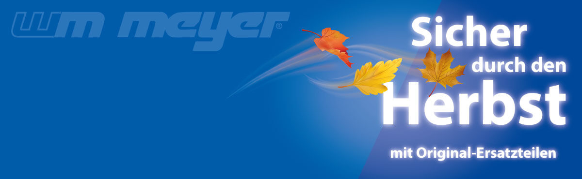 Sicher durch den Herbst